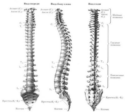 Синдроми на остеохондроза на цервикалния гръбначен стълб