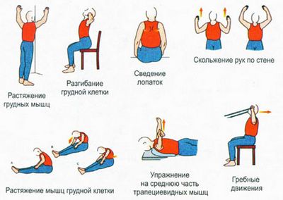 Гимнастика за гърба с ниска болка в гърба
