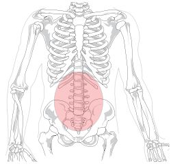 Тежестта в долната част на гърба преминава в бедрата и се засилва с ходенето