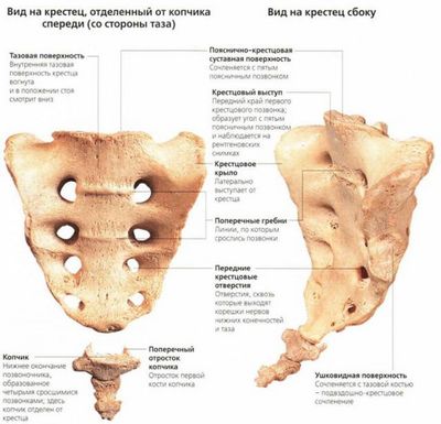 Патология на гръбначния стълб в лумбалния гръбначен стълб