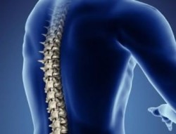 Прострукция на дисковете на лумбалната част на гръбначния стълб: симптоми, етапи и лечение