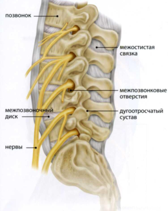 Причини, симптоми на стеноза на гръбначния канал в шията и лечение