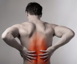 Мускули на гърба на човек: местоположение и функция, която причинява появата на болка в тях