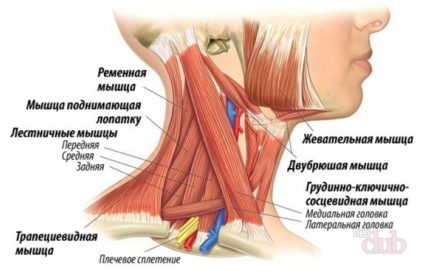 Причини за болки в шията