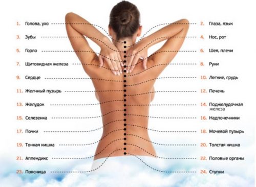 Извършване на масаж на гърба за кифозата на гръбначния стълб