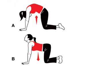 Протягане на гръбнака с остеохондроза