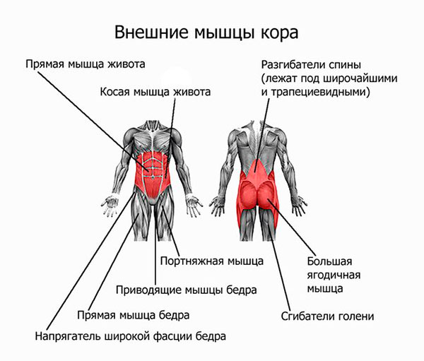 Ефективност на гимнастиката с болестта на Бектерев