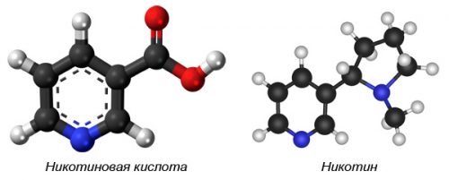 Използването на никотинова киселина при остеохондроза