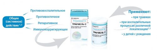 Противовъзпалително лекарство Traumeel в таблетки