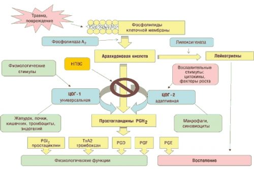 Преглед на 4 ефективни аналози на лекарството Артросилен