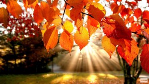 Есен и обостряне на остеохондрозата