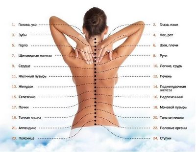 Болка в долната част на гърба и корем с менструация