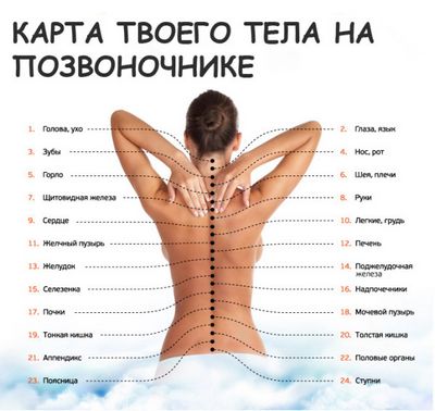 Болката в гърба боли корема