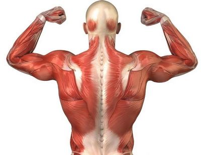 Видео гимнастика за болки в гърба