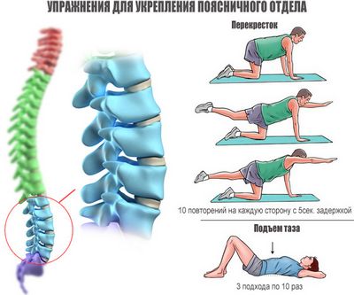 Упражнения за укрепване на гръбначния стълб и стойка