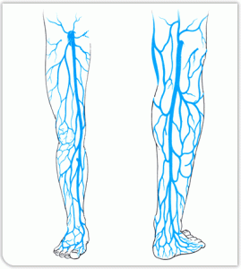 Лечение на вените на краката с народни средства