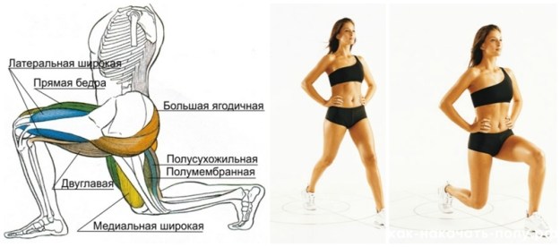 Упражняване на всички мускули - основни упражнения