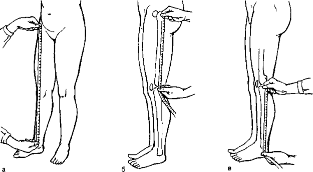 Дължина на краката - как да се измери