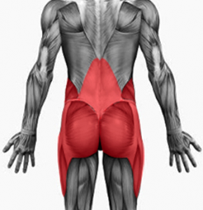 Силни мускули на гръбначния стълб - здраво гърло