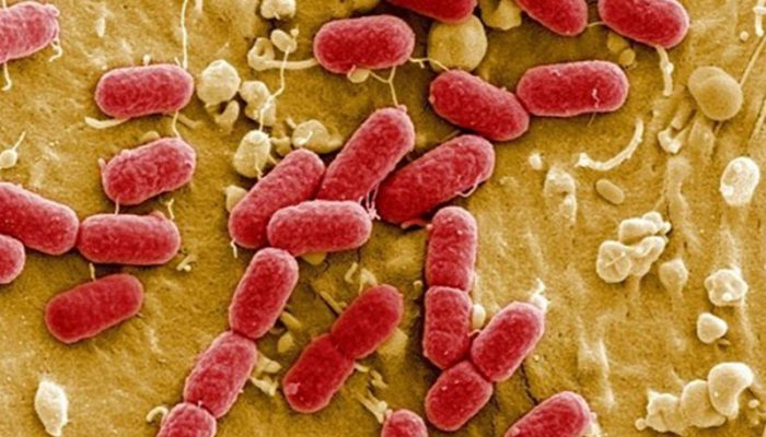 Характеристики и лечение на спинална туберкулоза