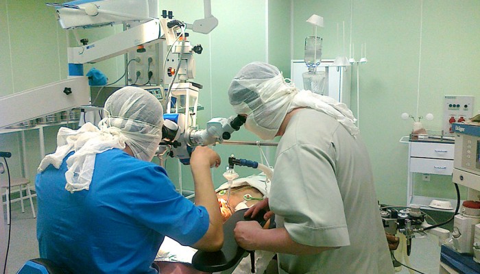 Херния херния: лечение без хирургия от народни средства