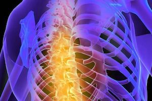 Видове дегенерация на гръбначния стълб и причинители на заболяването
