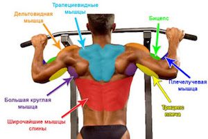 Какви упражнения ще укрепят горната част на гърба