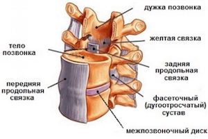 Каква е опасността от калциране на лигаментите на гръбначния стълб