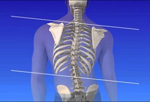 Защо е важно да се защитят костите на гърба
