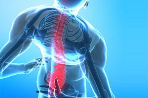 Жълти гръбначни връзки: гъвкавост на гръбнака от прешлен до гръбначен стълб