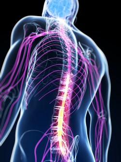 Какво представлява гръбначната стеноза, нейните причини, степени, симптоми, лечение