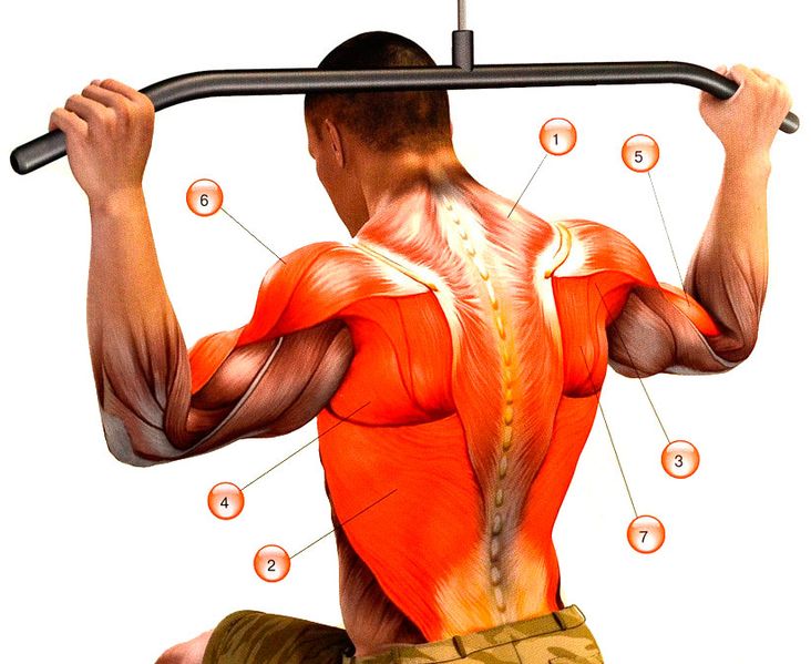 Кои симулатори се използват за укрепване на здравето на гърба и гръбначния стълб