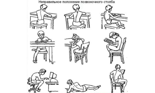 Бебешки и възрастни ортопедични столове за работа в компютъра у дома и в офиса, правейки домашна работа