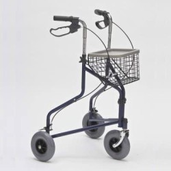 Go-колички за възрастни хора: какви са видовете, къде да купувате и как да избирате