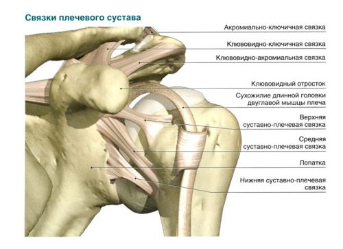 Как да се лекува разкъсване на сухожилията на раменната става