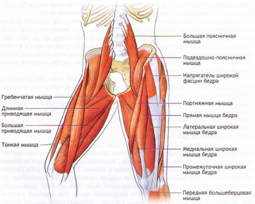 Проява на разкъсан мускул и методи за лечение