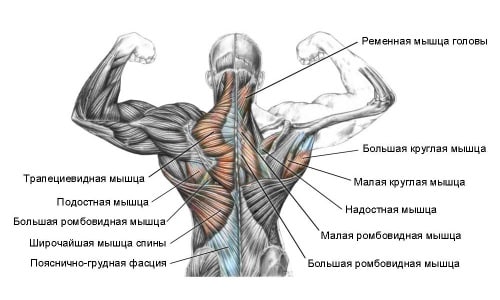 Причини, симптоми на опъване на гръбначните мускули и първа помощ за травма