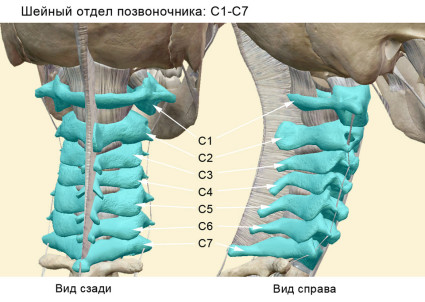 Причини и клинична картина на сублуксациите в гръбначния стълб