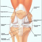 Болки в коляното по време на бременност: причините за болката в краката