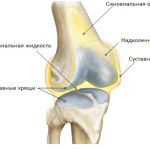Коляното боли по време на флексия и удължаване: лечение на колянната става