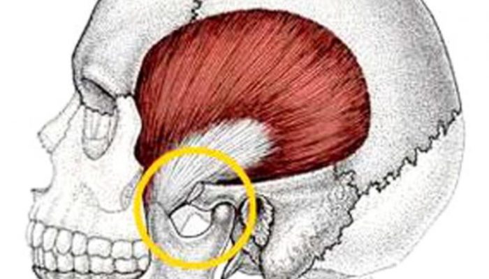 Дислокация и сублуксация на челюстта: симптоми и лечение
