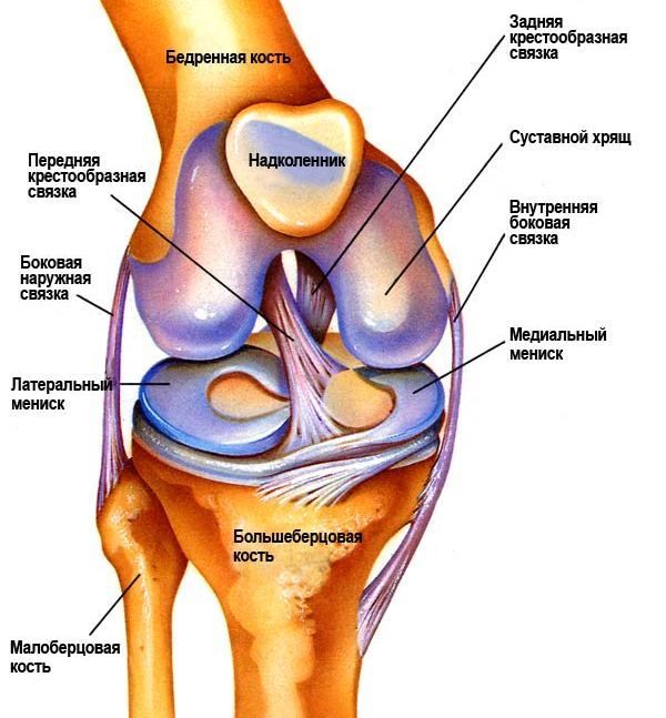 Наранявания на коляното