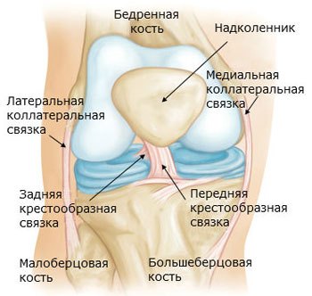 Ланги на колянната става - лечение на навяхвания