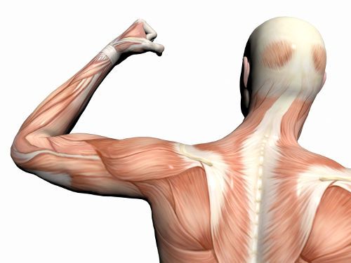 Електростимулация на мускулите