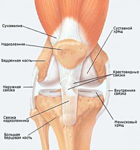 Как да се лекува артроза на коляното и тазобедрените стави?